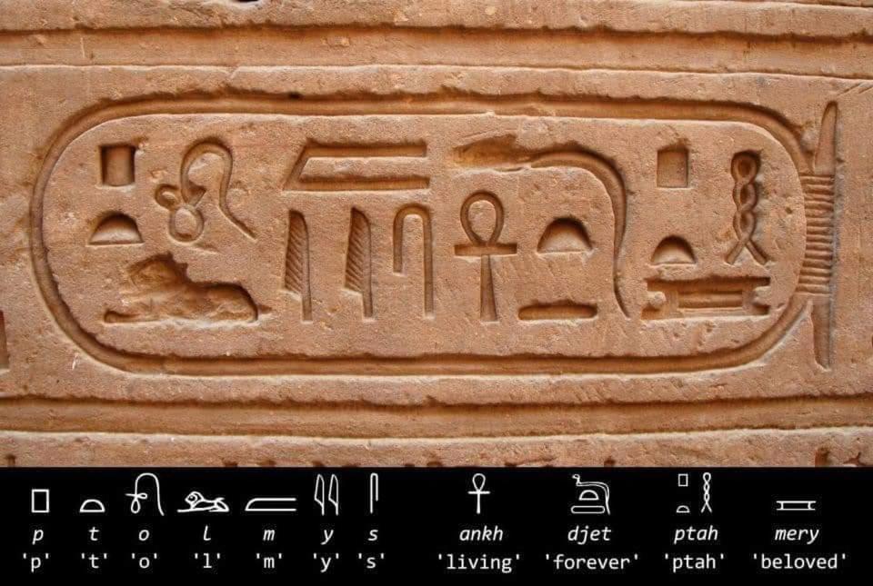 Erki Guest House Abu Simbel Exteriör bild